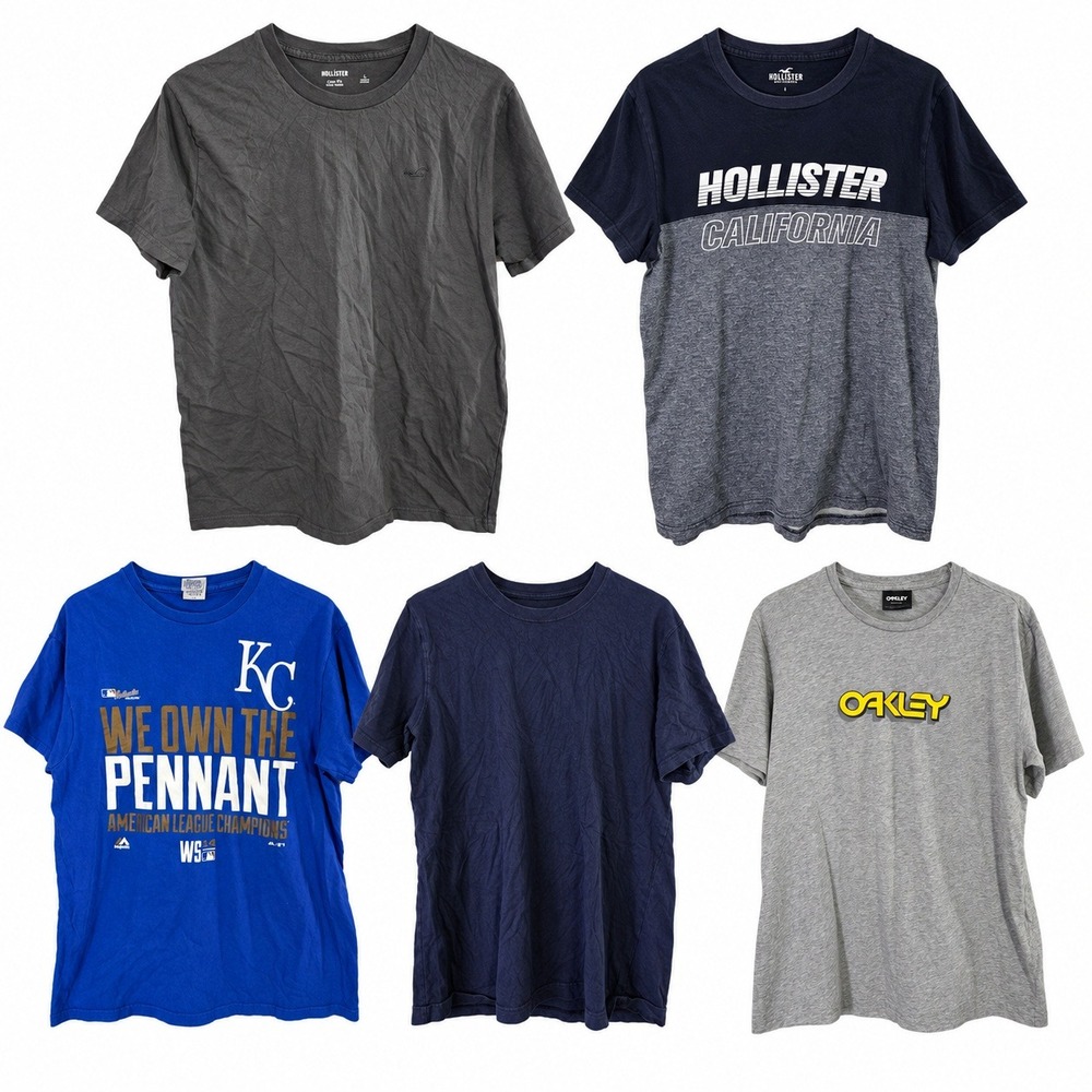 Mixed Brands Lot of 5 Men's L T-Shirts Hollister Delta Pro Weight Short Sleeve